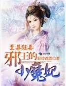 至尊狂妻：邪王的小魔妃