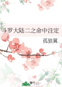 《斗羅大陸二之命中註定》