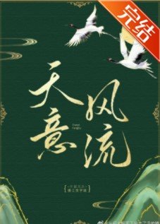 《天意风流》