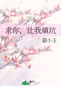 求你，让我填坑