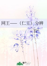网王——（仁王）分辨