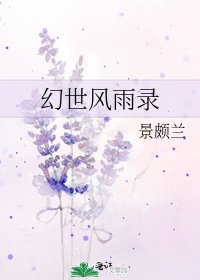 幻世风雨录