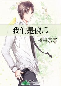 我们是傻瓜