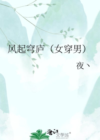 风起穹庐（女穿男）