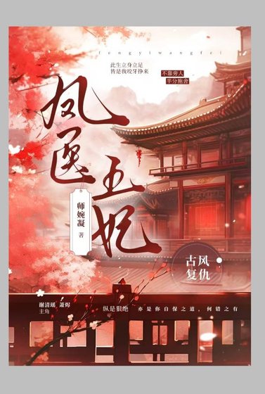 凤医王妃