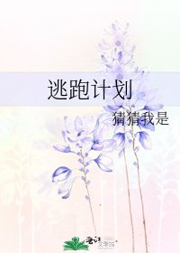 逃跑计划